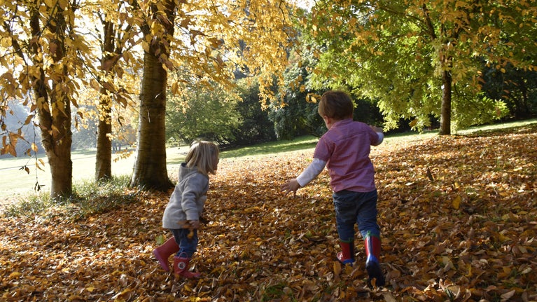 Children playing in the Autumn leaves, Killerton garden, Devon